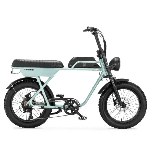 AGM-GT250-Grijs-fatbikeskopen_nl AGM GT250 - Grijs fatbike