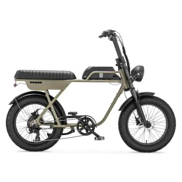 AGM GT250 - Groen fatbike