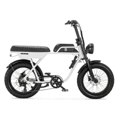 AGM GT250 - Wit fatbike