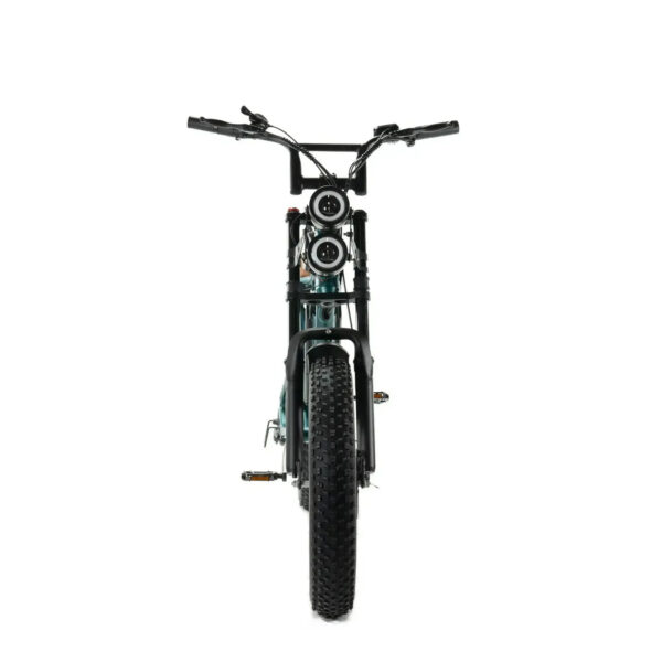 Combi-Deal-ENGWE-M20-Dubbele-Accu-Groen-fatbikeskopen_nl-2_807855a2 Combi-Deal! | ENGWE M20 - Dubbele Accu - Groen fatbike