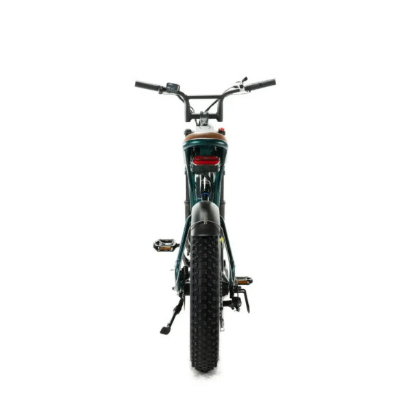 Combi-Deal-ENGWE-M20-Dubbele-Accu-Groen-fatbikeskopen_nl-4_fbcab54d Combi-Deal! | ENGWE M20 - Dubbele Accu - Groen fatbike