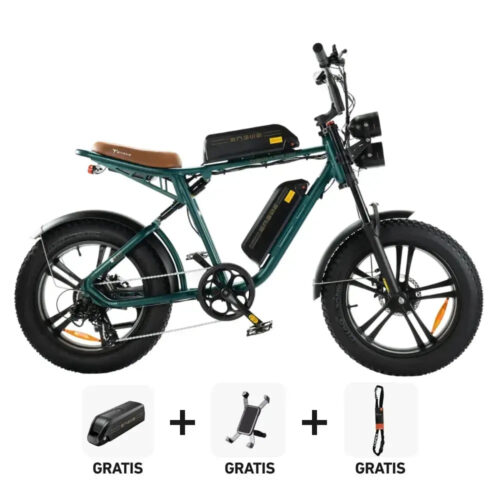 Combi-Deal! | ENGWE M20 - Dubbele Accu - Groen fatbike