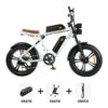 Combi-Deal! | ENGWE M20 - Dubbele Accu -  Wit fatbike