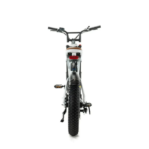 Combi-Deal! | ENGWE M20 - Dubbele Accu -  Wit fatbike