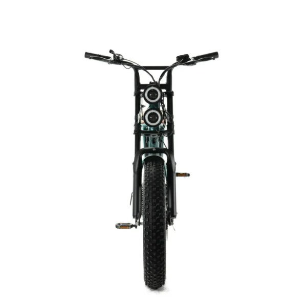 Combi-Deal! | ENGWE M20 - Groen fatbike
