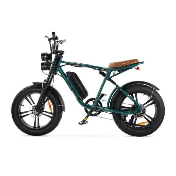 Combi-Deal! | ENGWE M20 - Groen fatbike