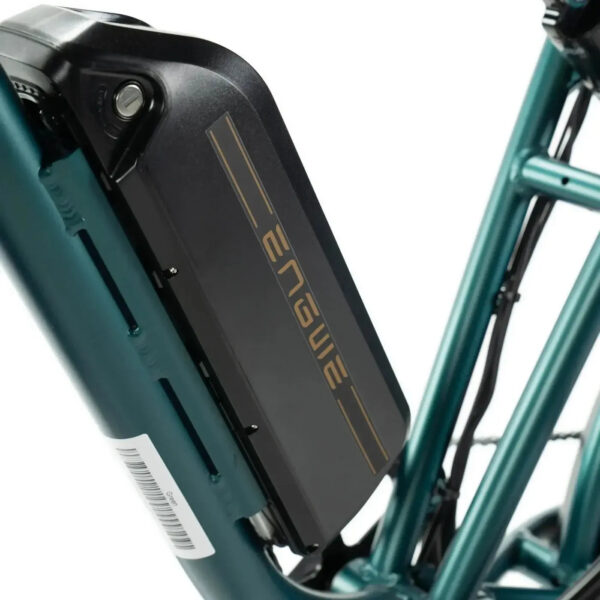 Combi-Deal! | ENGWE M20 - Groen fatbike