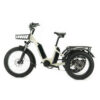 Diablo Big Foot MX5 - Grijs fatbike