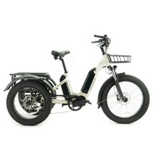 Diablo Big Foot MX5 - Grijs fatbike
