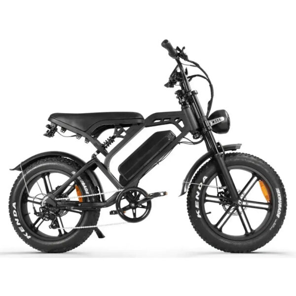 Diablo E ONE - Zwart fatbike