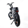 EB2 - Grijs fatbike