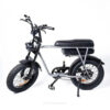 EB2 - Grijs fatbike