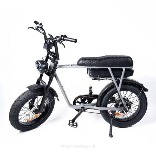 EB2 - Grijs fatbike