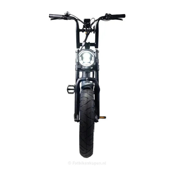 EB2 - Grijs fatbike