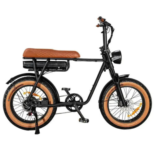 EB2 Pro - Bruin fatbike