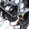 EB2 Pro - Bruin fatbike