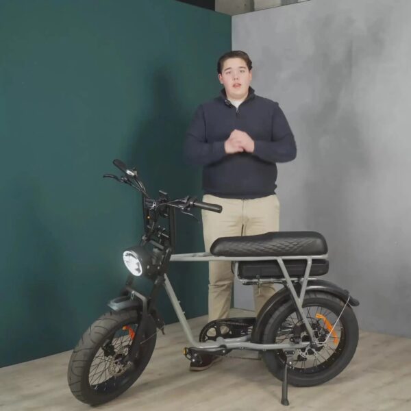 EB2 Pro - Grijs fatbike