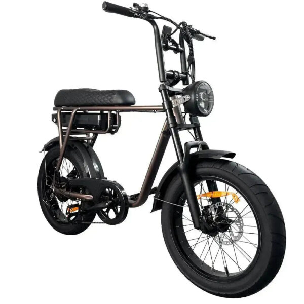 EB2 Pro - Koffie fatbike