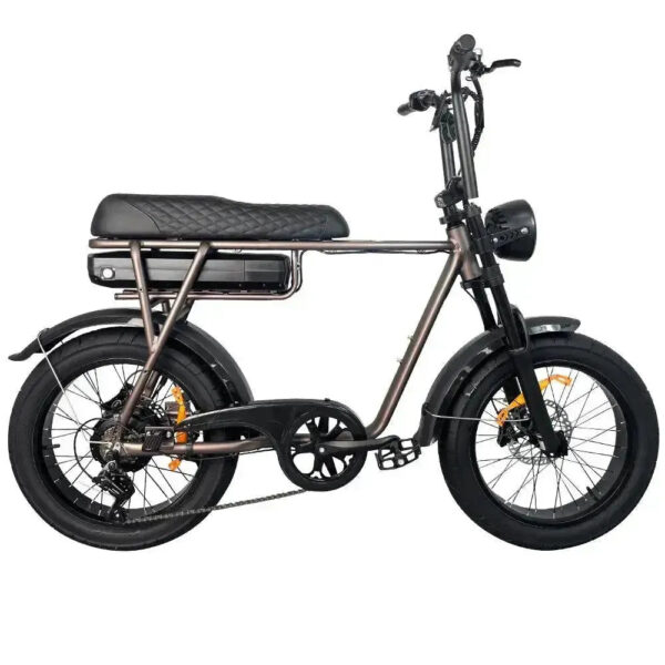 EB2 Pro - Koffie fatbike