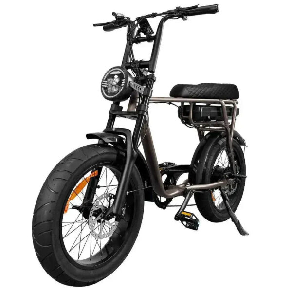 EB2 Pro - Koffie fatbike