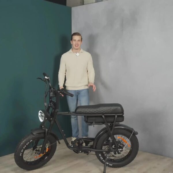 EB2 Pro - Zwart fatbike