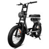 EB2 - Zilver fatbike
