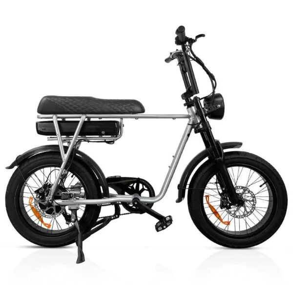 EB2 - Zilver fatbike