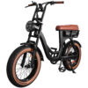 EB8 - Bruin fatbike