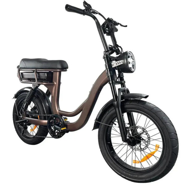 EB8 - Koffie fatbike
