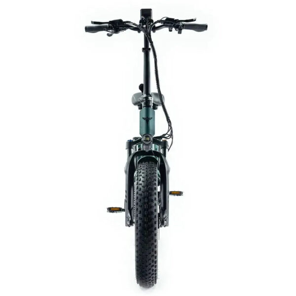 ENGWE-Engine-Pro-2_0-Groen-fatbikeskopen_nl-3 ENGWE Engine Pro 2.0 - Groen