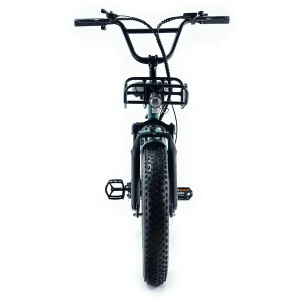 Family-Deal! | ENGWE L20 Boost - Groen fatbike