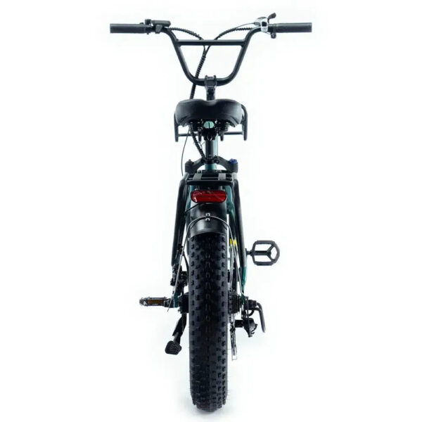 Family-Deal! | ENGWE L20 Boost - Groen fatbike