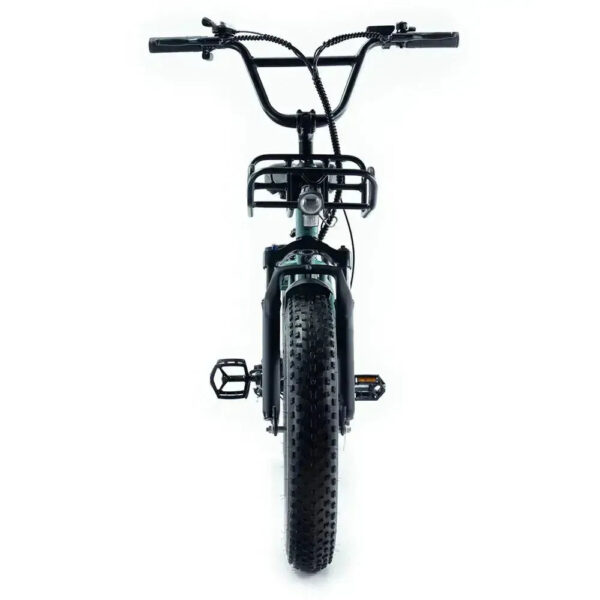 ENGWE L20 - Groen fatbike