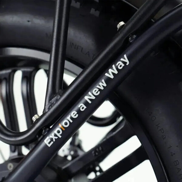 ENGWE L20 - Zwart fatbike