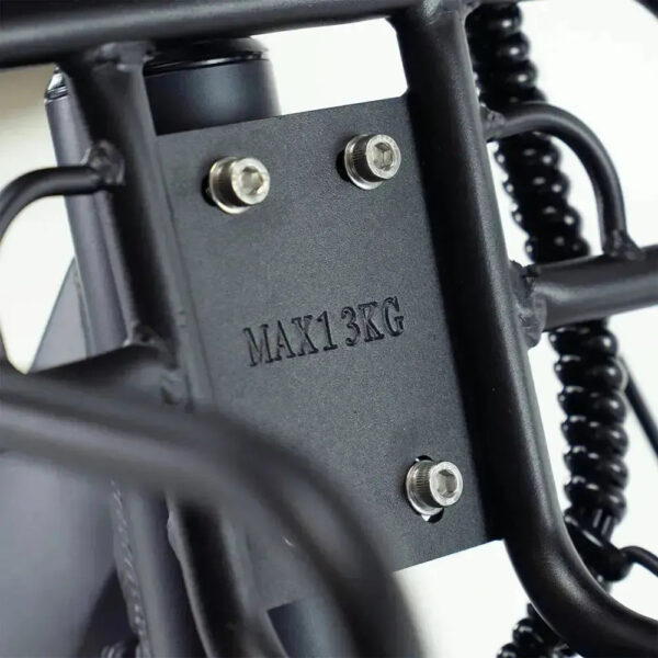 ENGWE L20 - Zwart fatbike
