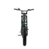 ENGWE-M20-Dubbele-Accu-Groen-fatbikeskopen_nl-3 ENGWE M20 - Dubbele Accu - Groen fatbike