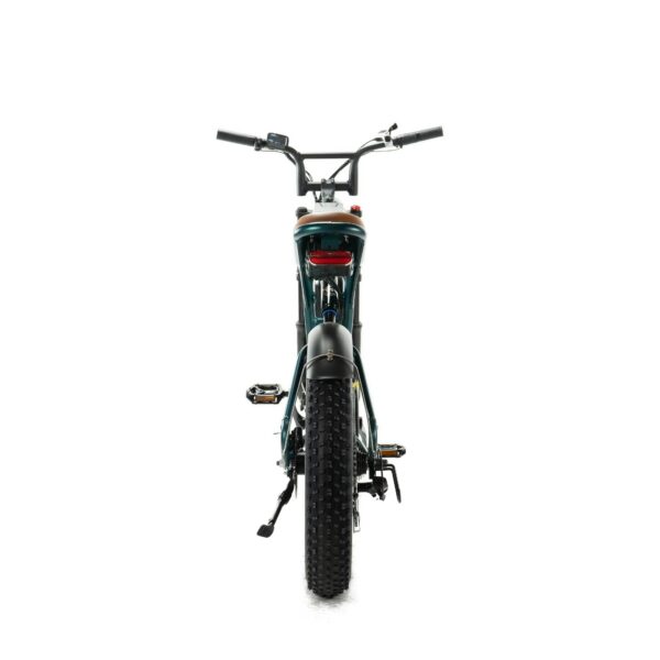ENGWE-M20-Dubbele-Accu-Groen-fatbikeskopen_nl-4 ENGWE M20 - Dubbele Accu - Groen fatbike