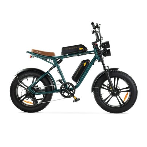 ENGWE M20 - Dubbele Accu - Groen fatbike