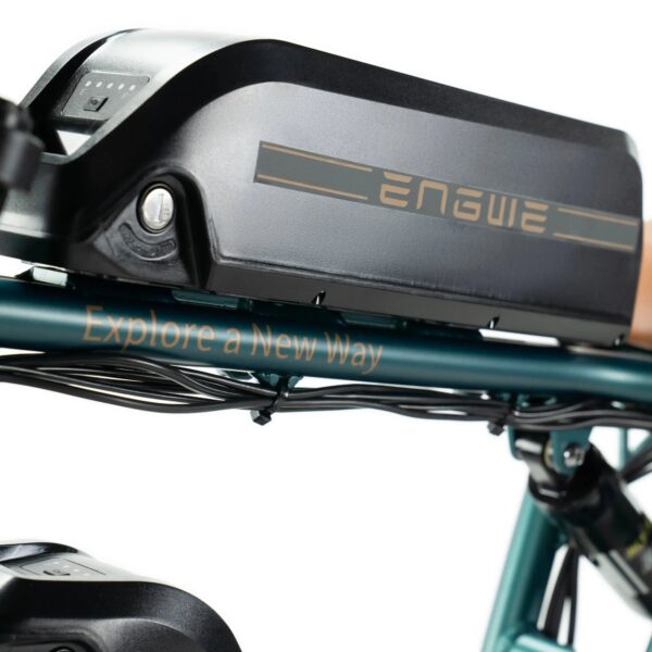 ENGWE-M20-Dubbele-Accu-Groen-fatbikeskopen_nl-7 ENGWE M20 - Dubbele Accu - Groen fatbike