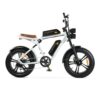ENGWE M20 - Dubbele Accu - Wit fatbike