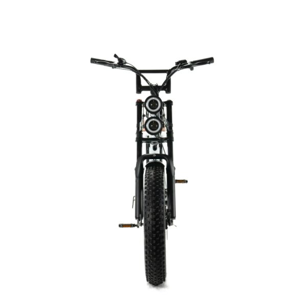 ENGWE M20 - Dubbele Accu - Wit fatbike