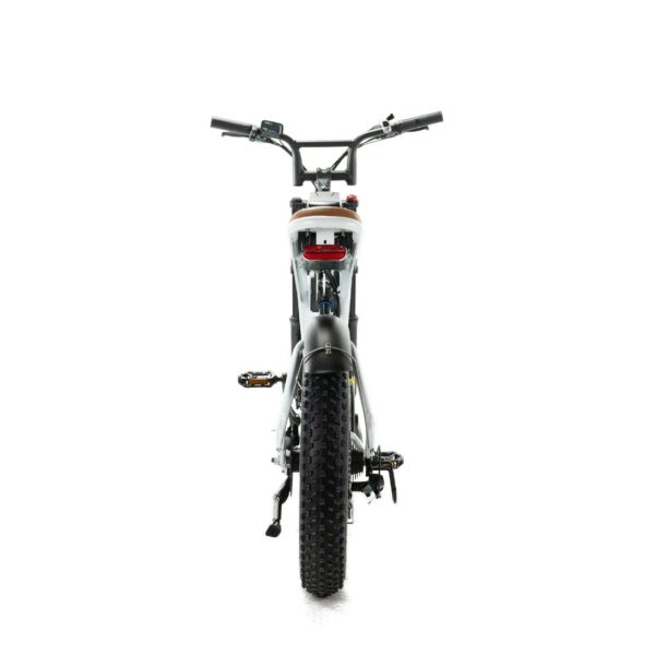 ENGWE M20 - Dubbele Accu - Wit fatbike