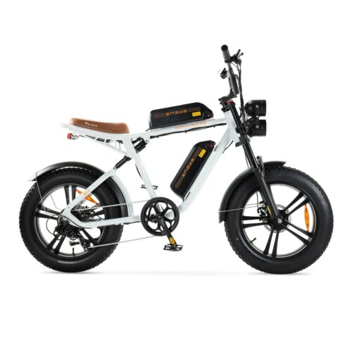 ENGWE M20 - Dubbele Accu - Wit fatbike