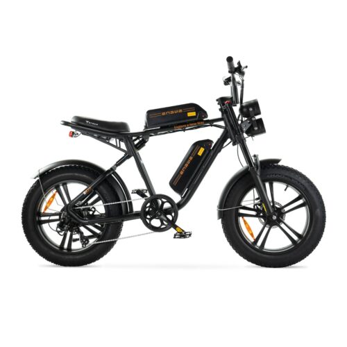 ENGWE M20 - Dubbele Accu - Zwart fatbike
