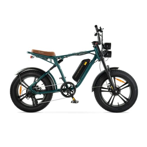 ENGWE M20 - Groen fatbike