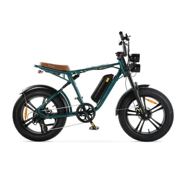 ENGWE M20 - Groen fatbike