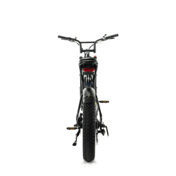 ENGWE M20 - Zwart fatbike