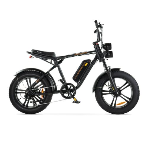 ENGWE M20 - Zwart fatbike