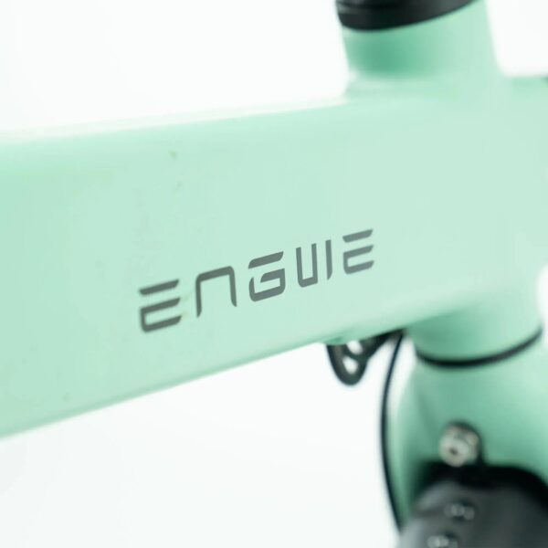 ENGWE P20 - Groen