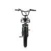 Family-Deal! | ENGWE L20 - Groen fatbike